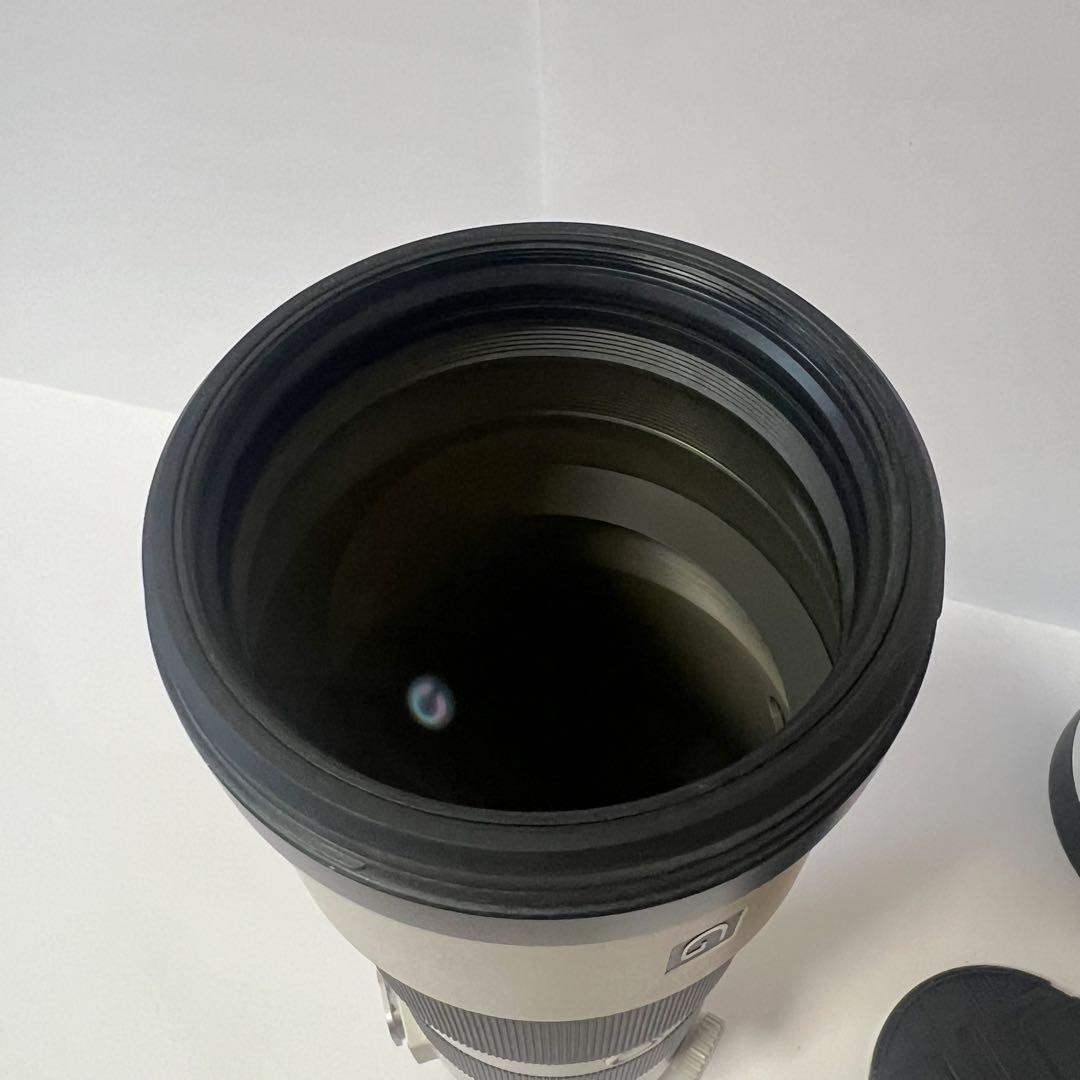 レンズ(ズーム) SONY FE 200-600mm F5.6-6.3 G OSS