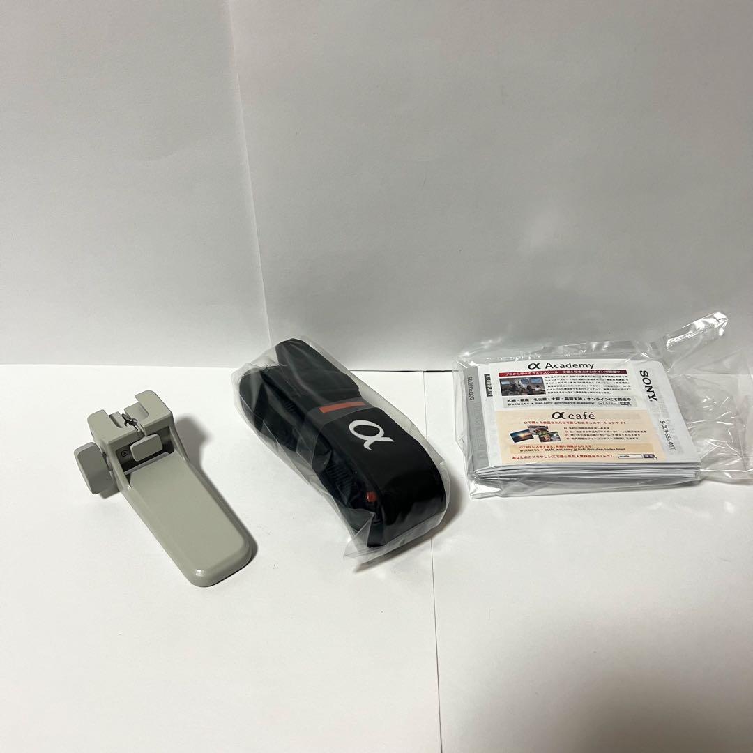 レンズ(ズーム) SONY FE 200-600mm F5.6-6.3 G OSS