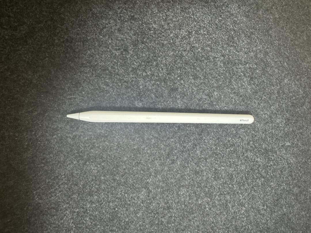 iPad Pro 11インチ（第２世代）256gb ＋α【値下げしましま！】