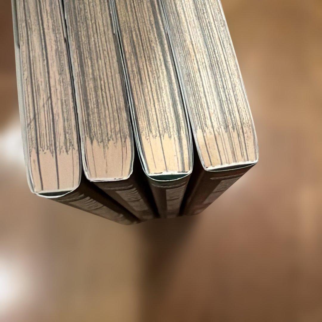 DARKER THAN BLACK-漆黒の花- 1〜4 全て特典付き