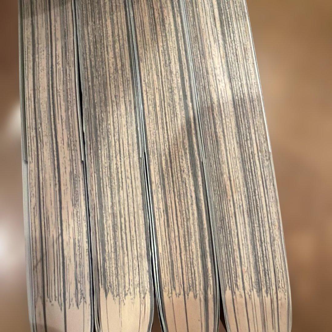 DARKER THAN BLACK-漆黒の花- 1〜4 全て特典付き