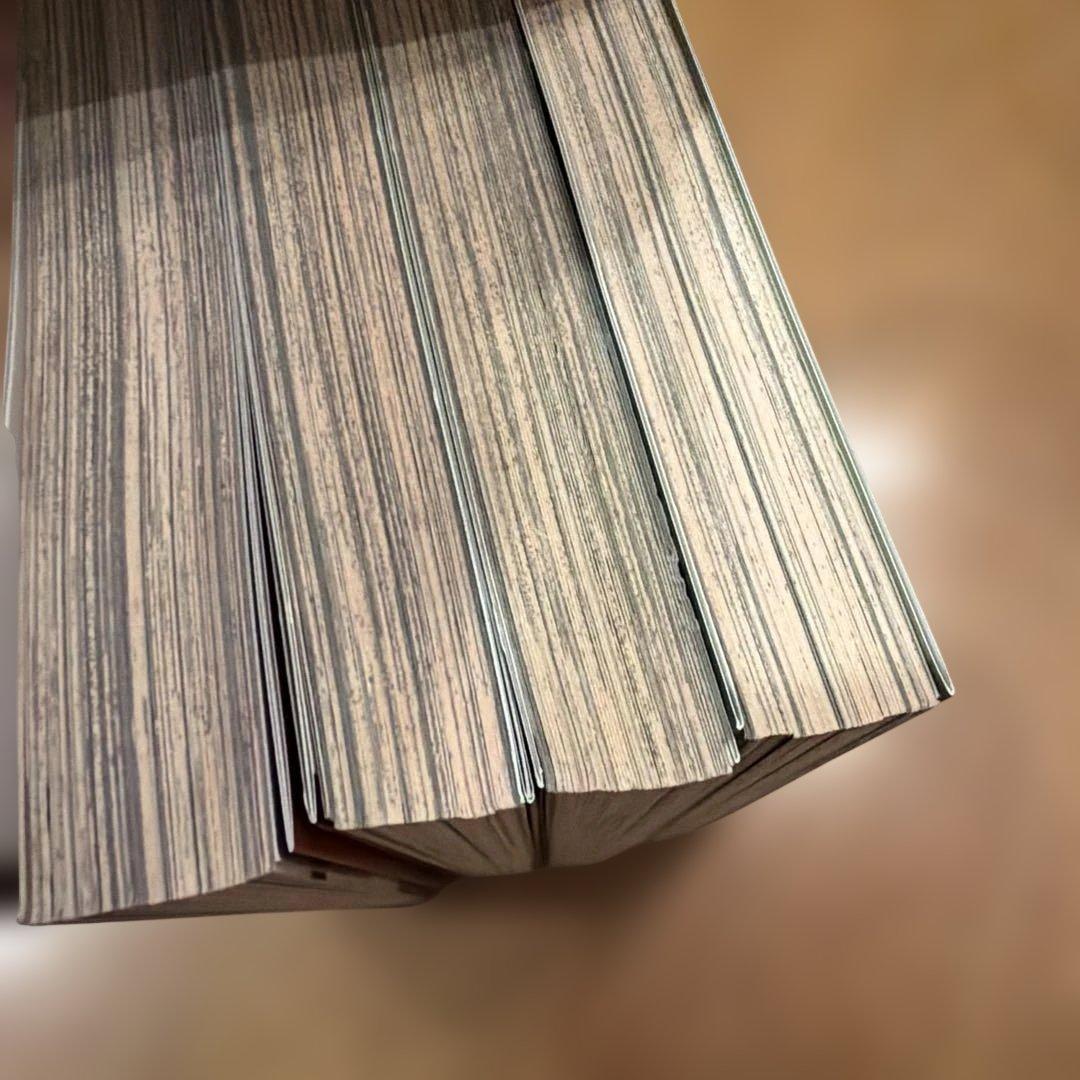 DARKER THAN BLACK-漆黒の花- 1〜4 全て特典付き