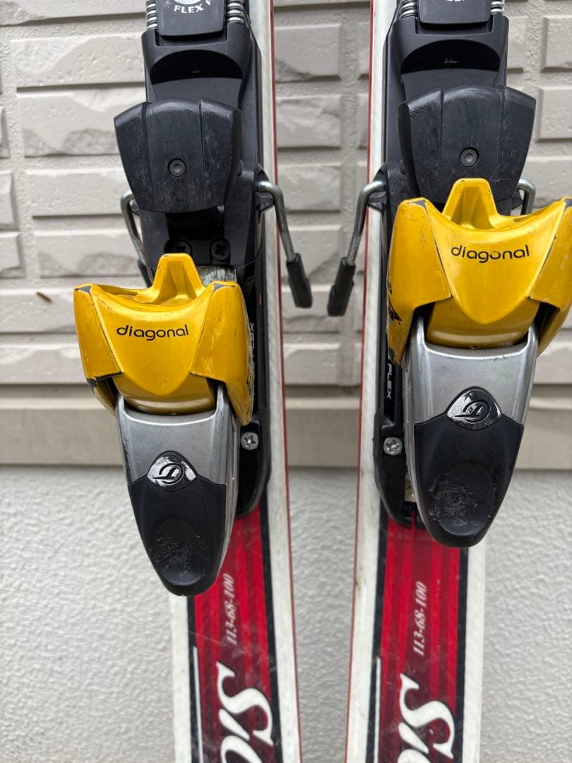 オガサカ　ケオッズCH　165cm　世界が認めたクオリティ