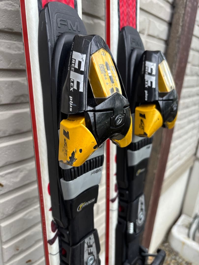 オガサカ　ケオッズCH　165cm　世界が認めたクオリティ