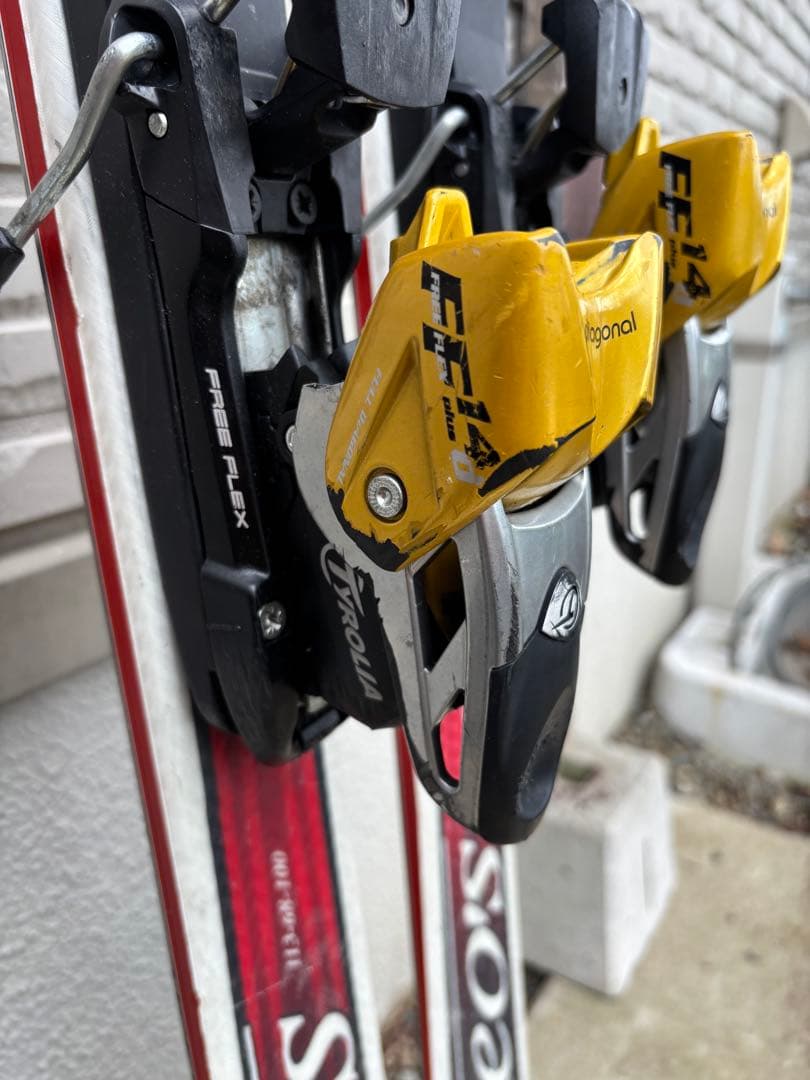 オガサカ　ケオッズCH　165cm　世界が認めたクオリティ