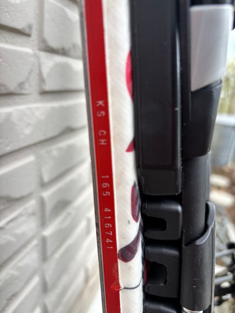 オガサカ　ケオッズCH　165cm　世界が認めたクオリティ