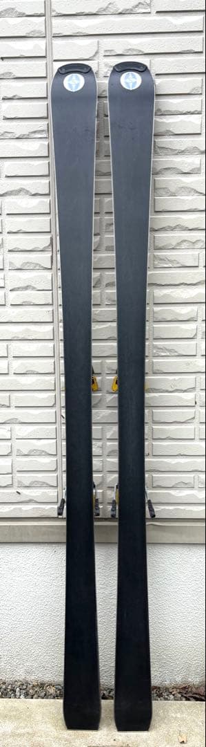 オガサカ　ケオッズCH　165cm　世界が認めたクオリティ