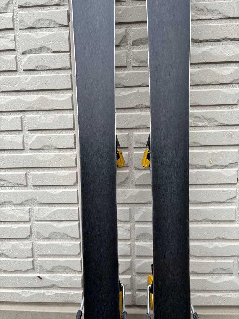 オガサカ　ケオッズCH　165cm　世界が認めたクオリティ