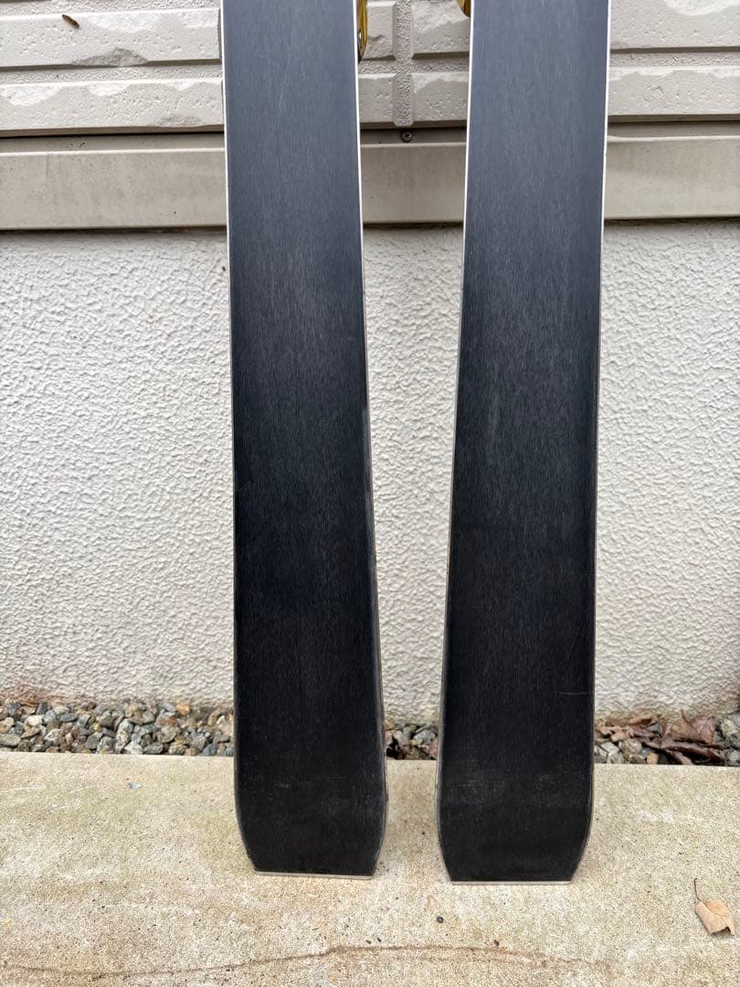 オガサカ　ケオッズCH　165cm　世界が認めたクオリティ