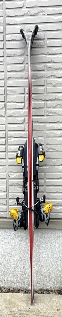 オガサカ　ケオッズCH　165cm　世界が認めたクオリティ