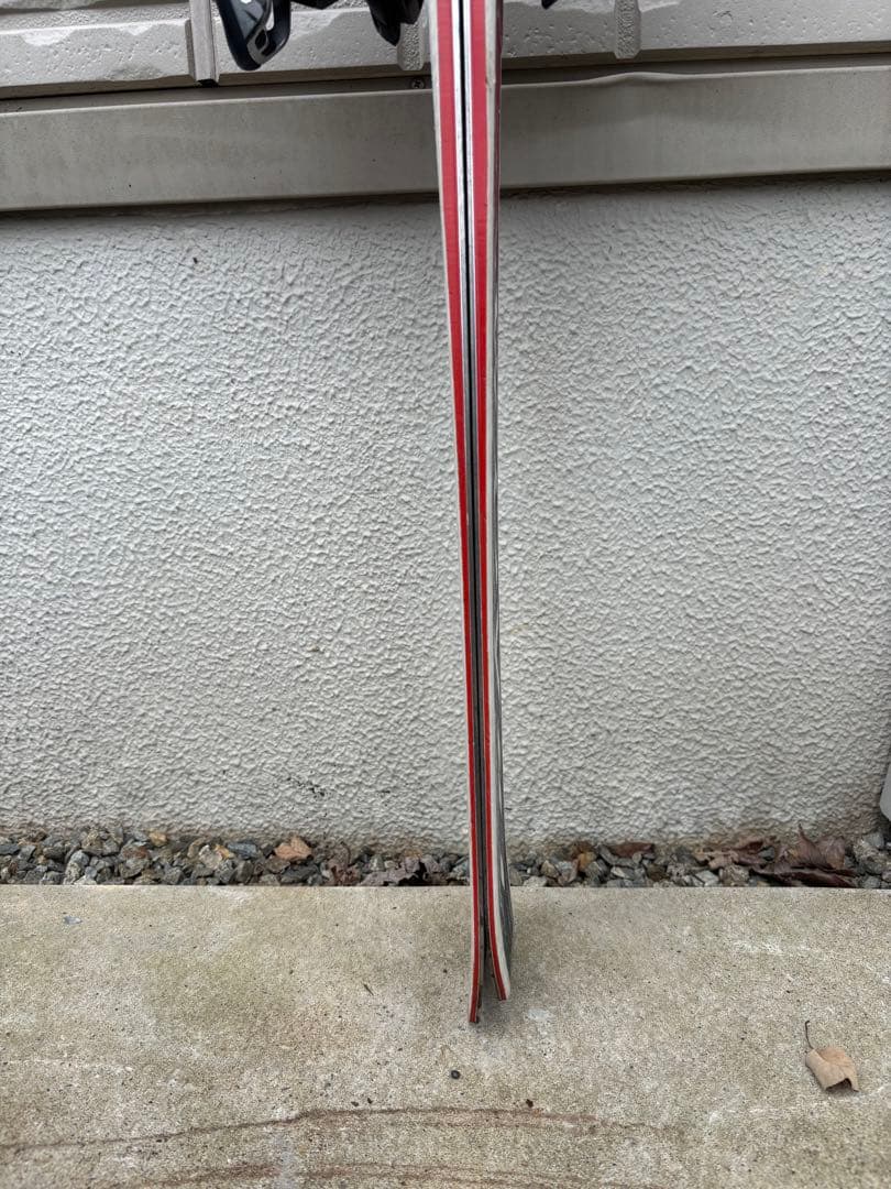 オガサカ　ケオッズCH　165cm　世界が認めたクオリティ