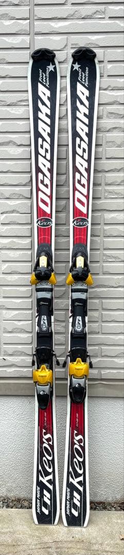 オガサカ　ケオッズCH　165cm　世界が認めたクオリティ