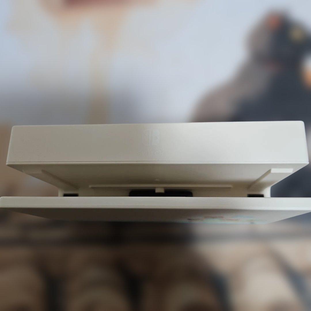 ビ*オ様 ミ*シ様 Nintendo Switch　あつまれどうぶつの森セット