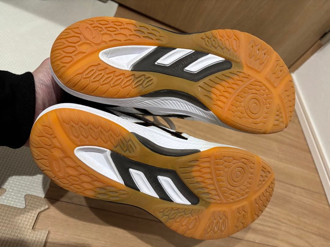 ローテジャパン ライトff2