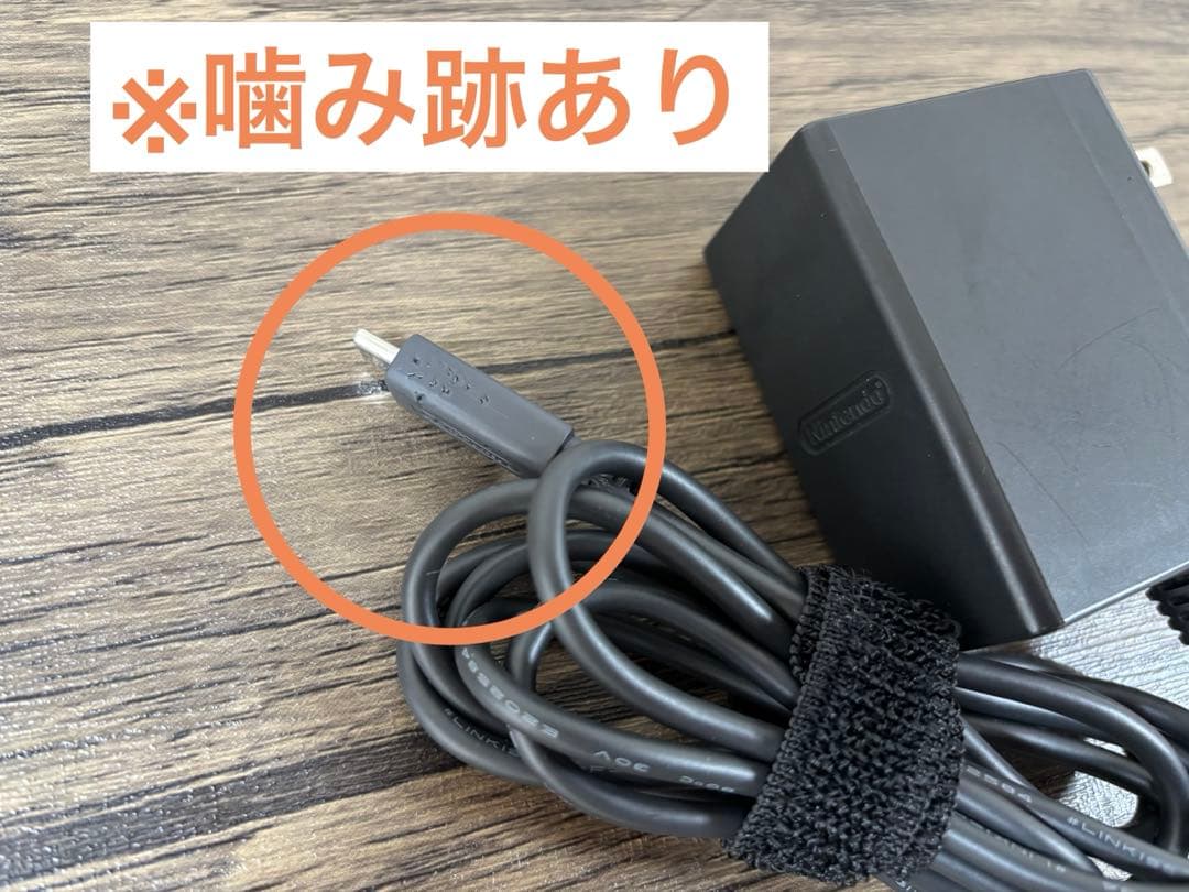 ニンテンドースイッチ ライト(ターコイズ)美品＋純正充電器・ケース等付き