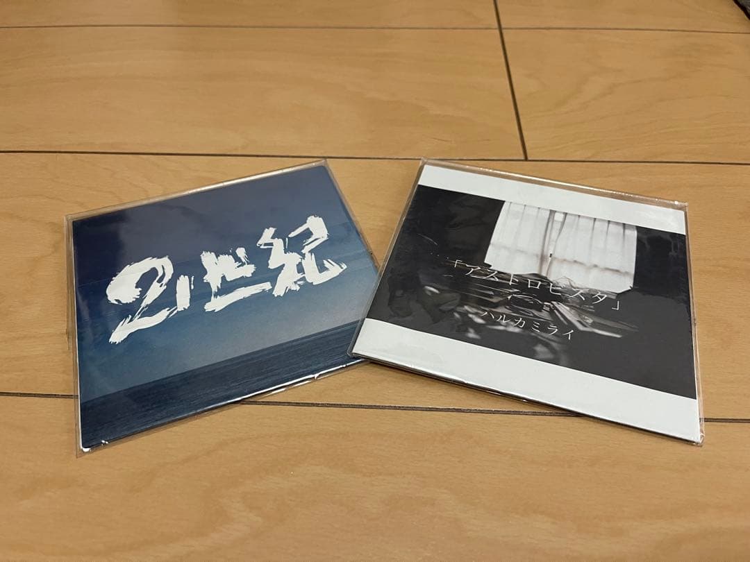 koooの古着さん専用ハルカミライ21世紀/アストロビスタ/ハッシャダイの丘から