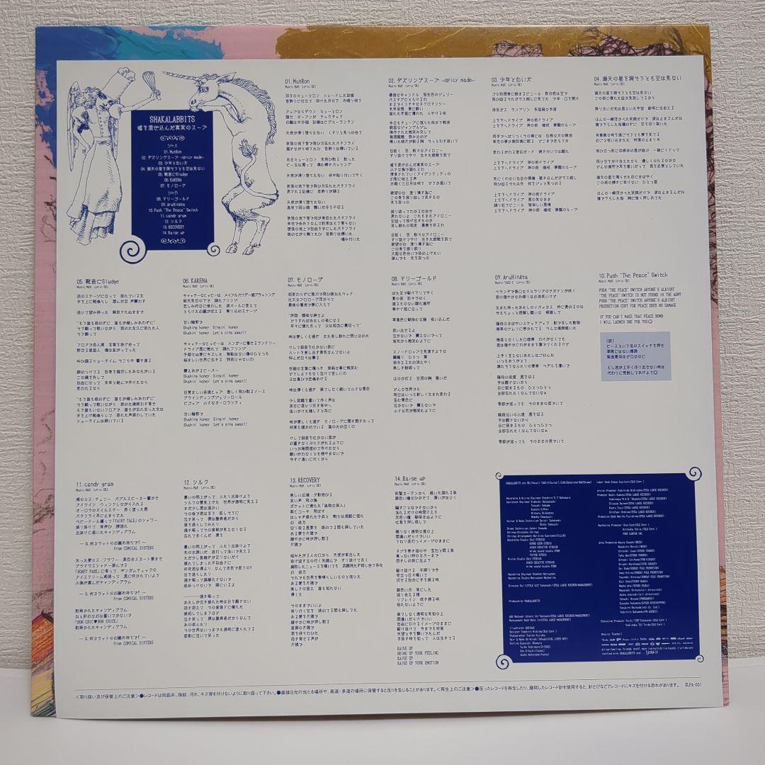 嘘を混ぜ込んだ真実のスープ SHAKALABBITS レコード