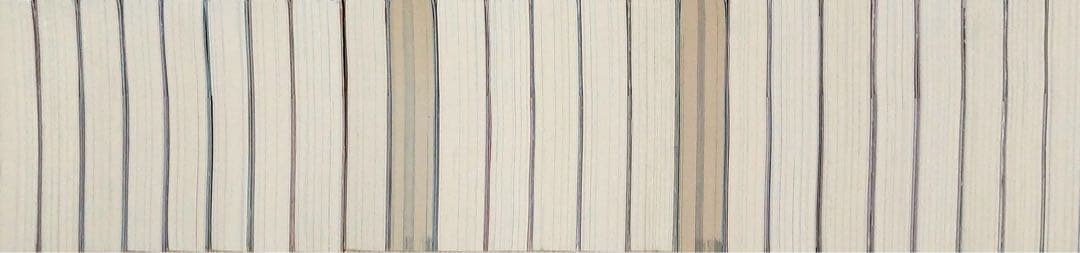 転生したらスライムだった件　転スラ　小説　合計24冊セット　全巻セット