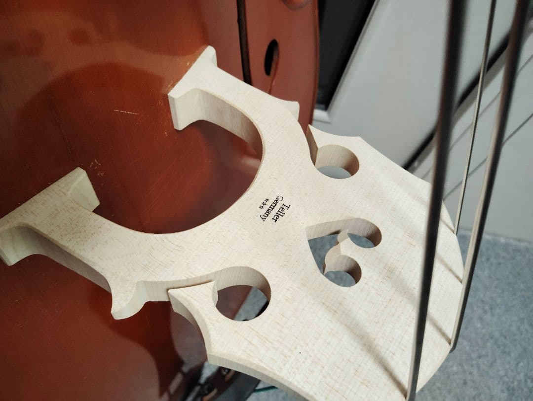 コントラバス ウッドベース スズキ ケース付 表単板 エヴァピラッツィ弦