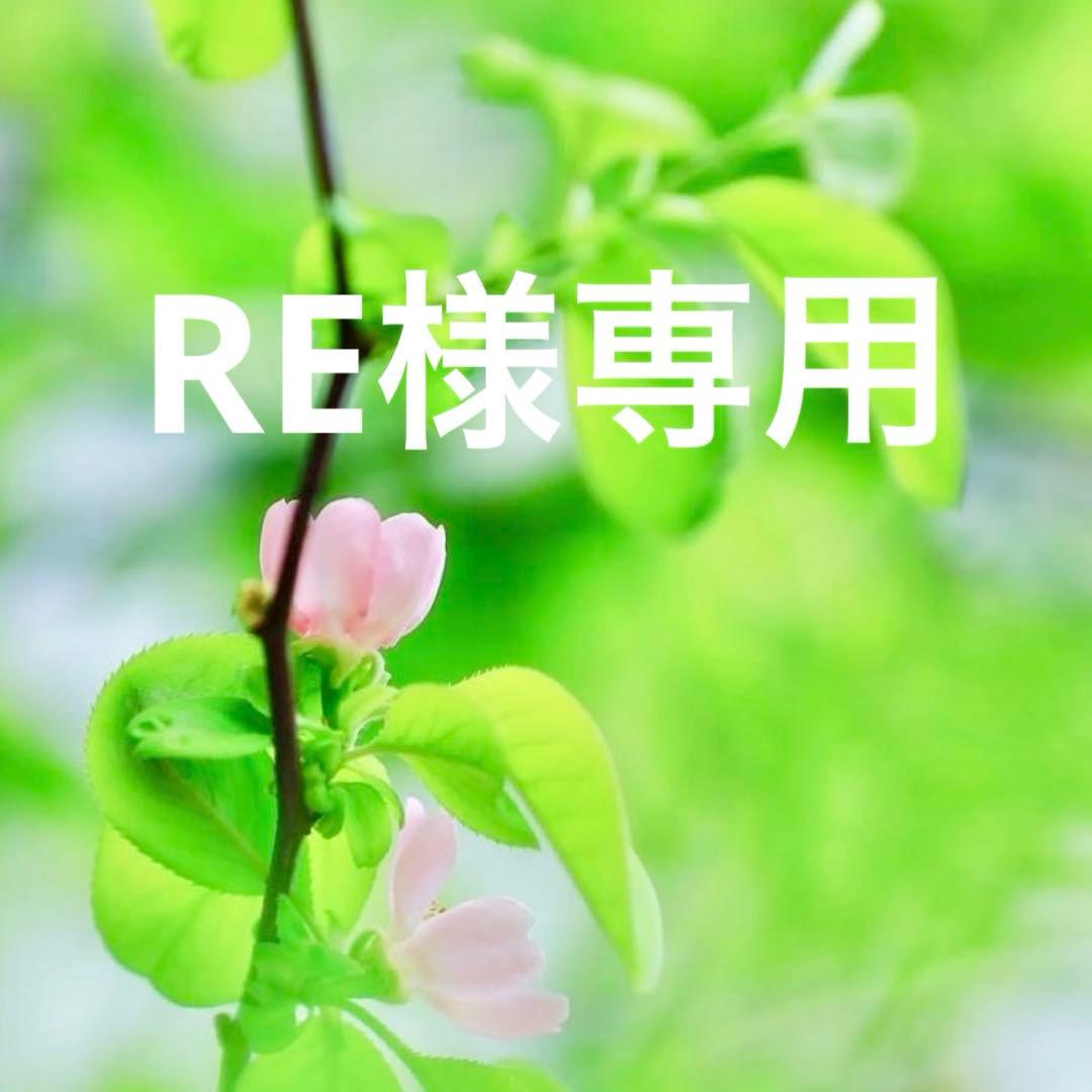 REページです。