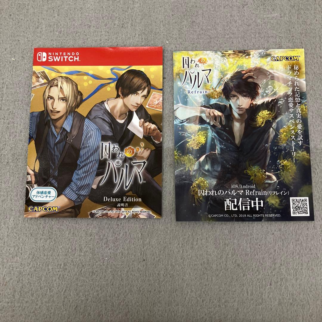 GD9116 囚われのパルマ デラックス エディション