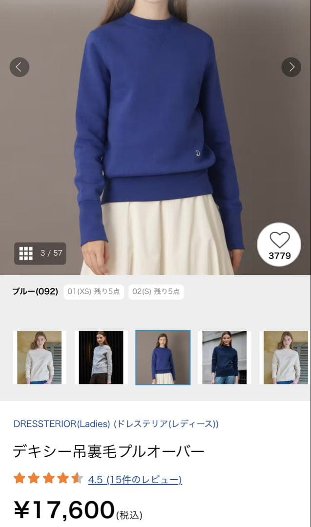 【未使用】DRESSTERIOR ドレステリア　デキシー吊毛プルオーバー　01