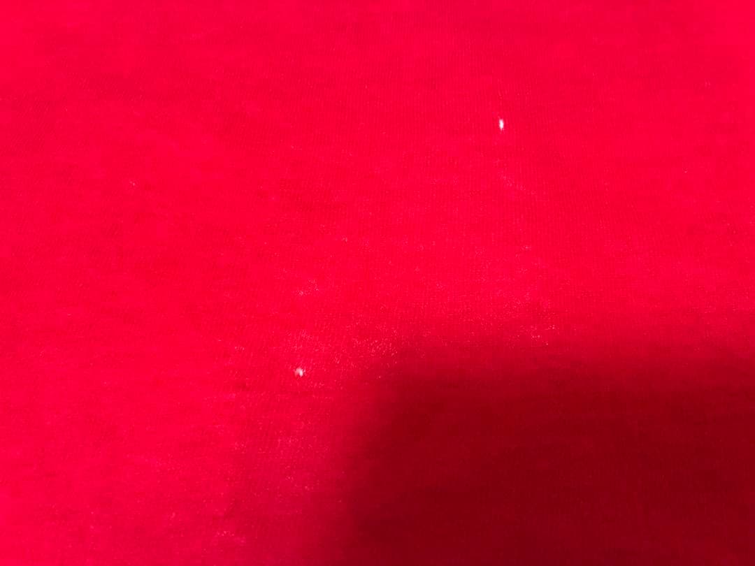 n100エヌワンハンドレッド カシミア ストール レッド 赤 n-8001-F