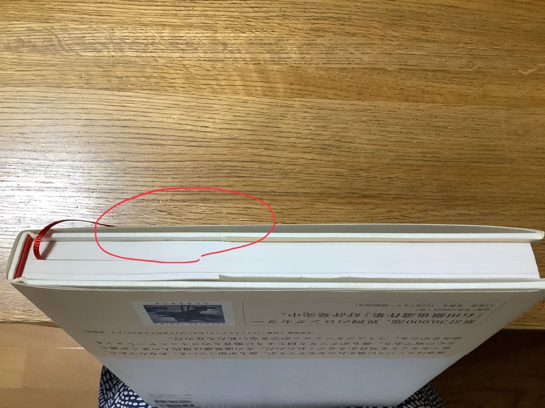 石田徹也全作品集