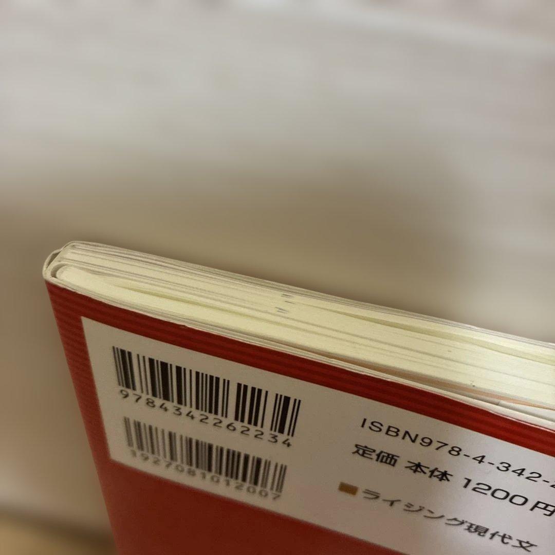 ライジング現代文　パイーシイ‼️