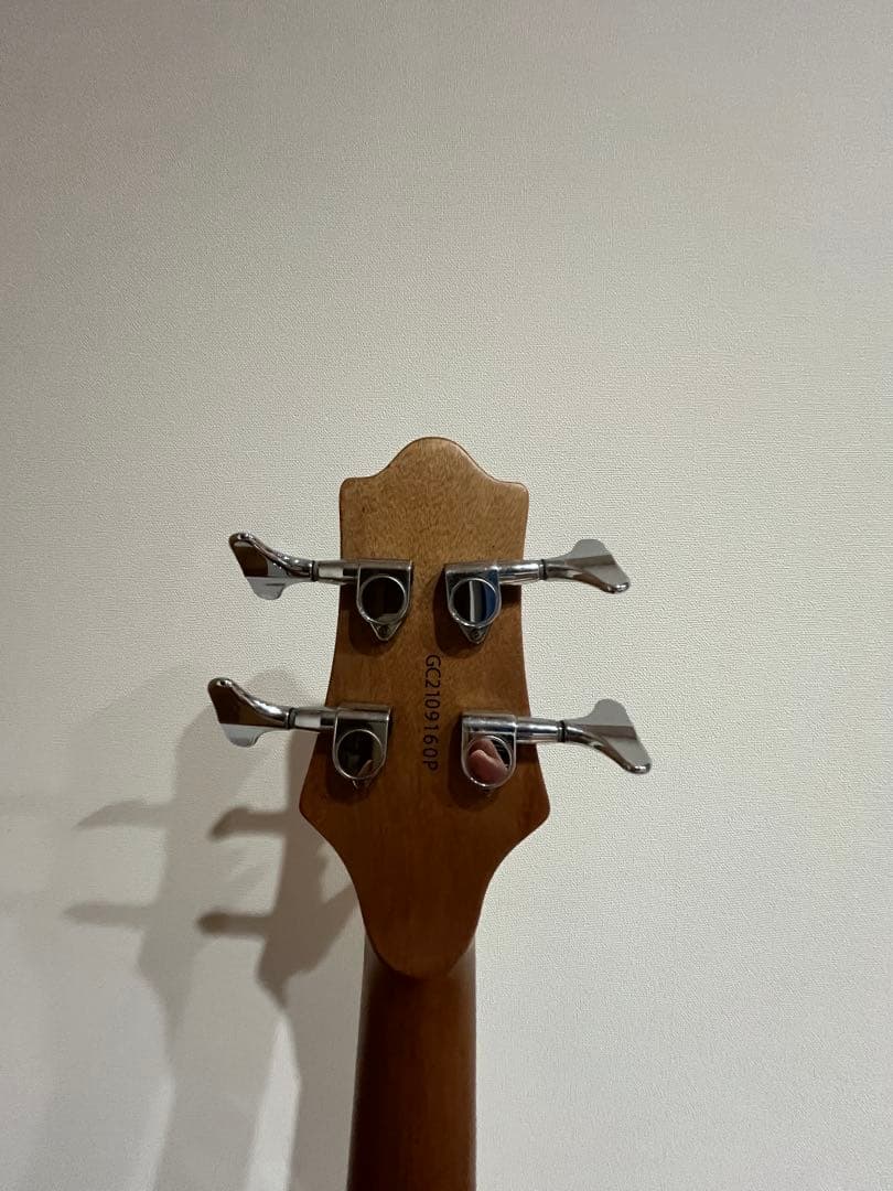 Grass Roots AC-BASS アコースティックベース