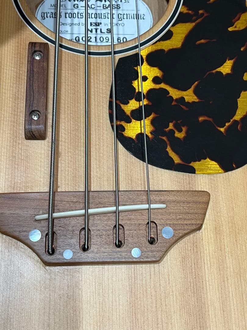 Grass Roots AC-BASS アコースティックベース