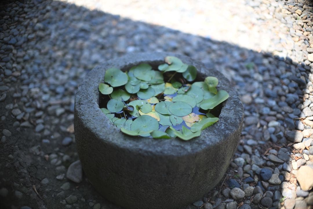 TTArtisan 50mm f/0.95 C Zマウント