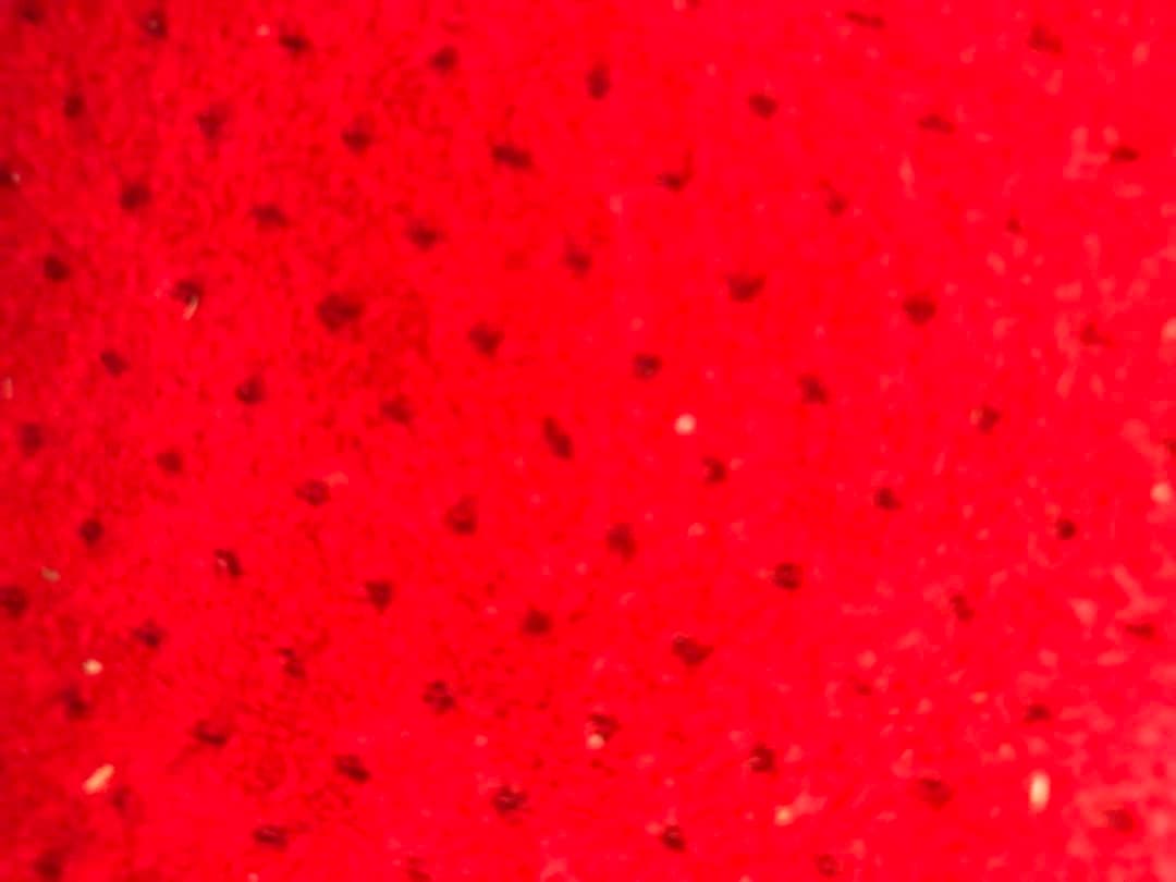 5mm3mmジャーセミ