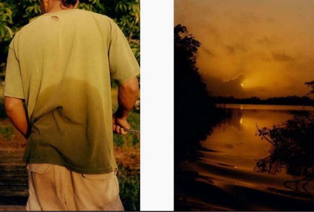 洋書 Deeper Green Colin Dodgson