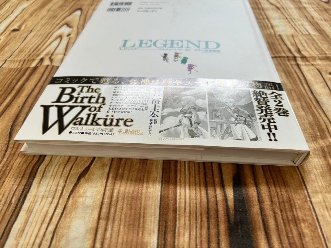 Legend : ワルキューレワールドカラー設定画集