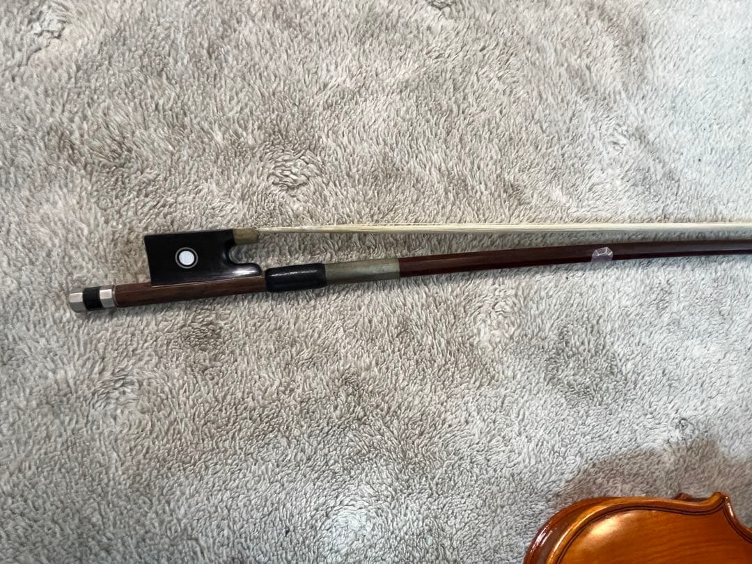 Andreas Eastman VL80 1/10サイズ　2018年製バイオリン