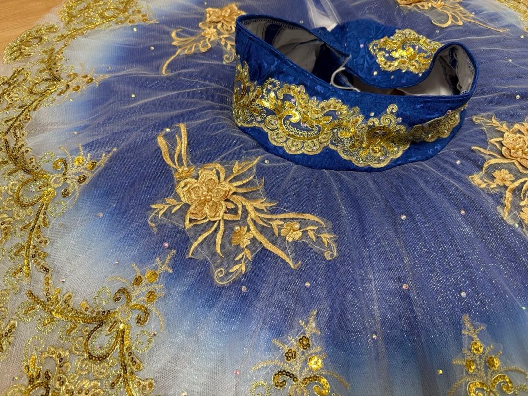 【再値下げ中】新品＊バレエ衣装 セパレートタイプ　海賊などに(青)