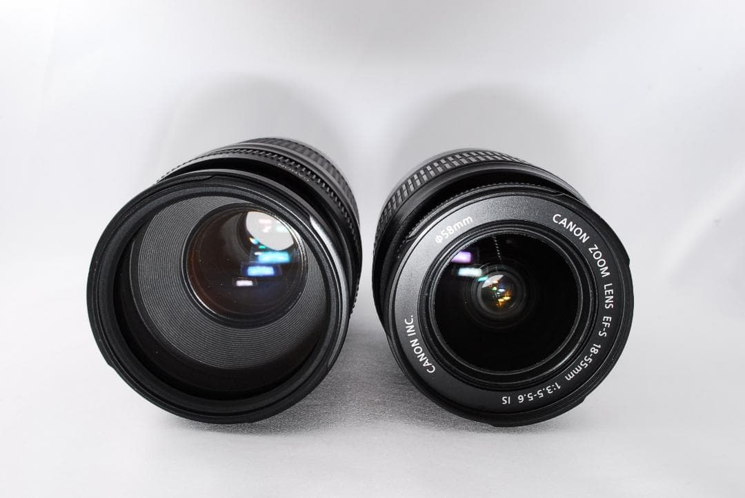 キヤノン Kiss X5☆入門機☆一眼レフカメラ☆Wレンズ☆付属品付きすぐ使える