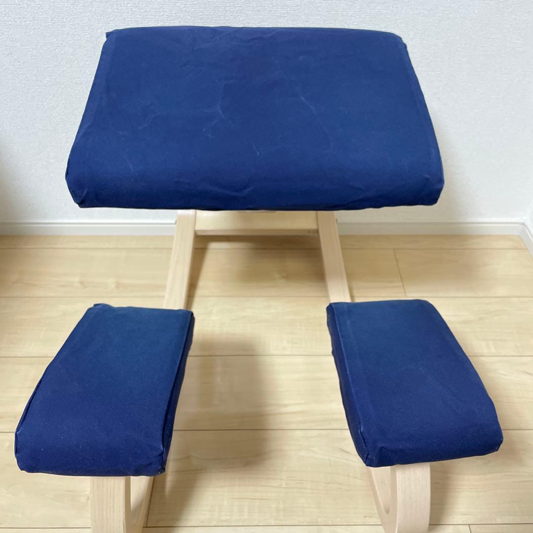 Varier Variable バランスチェア ブルー (美品・カバー付き)