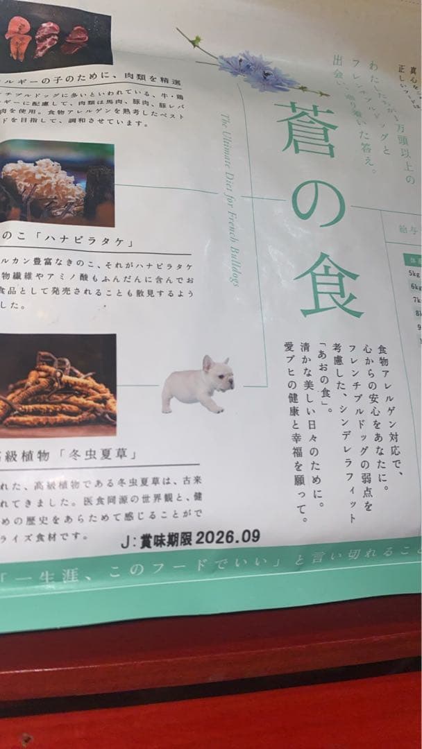 THE fu-do フレンチブルドッグ用アレルゲン対応×4袋