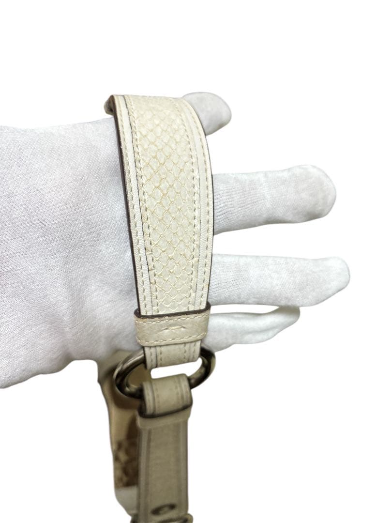 な*み様 【希少】COACH ソーホー パッチワーク シグネチャー パイソン シ