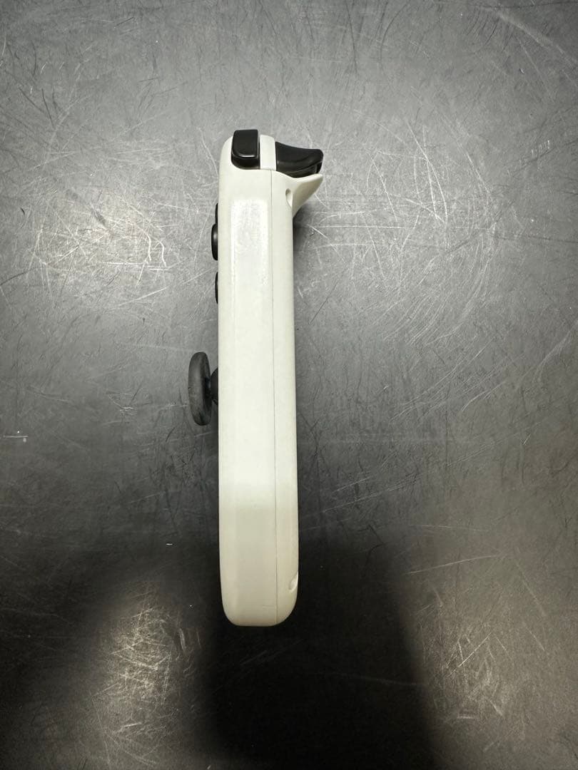 Nintendo Switch Lite モンスターハンター　RISEver本体