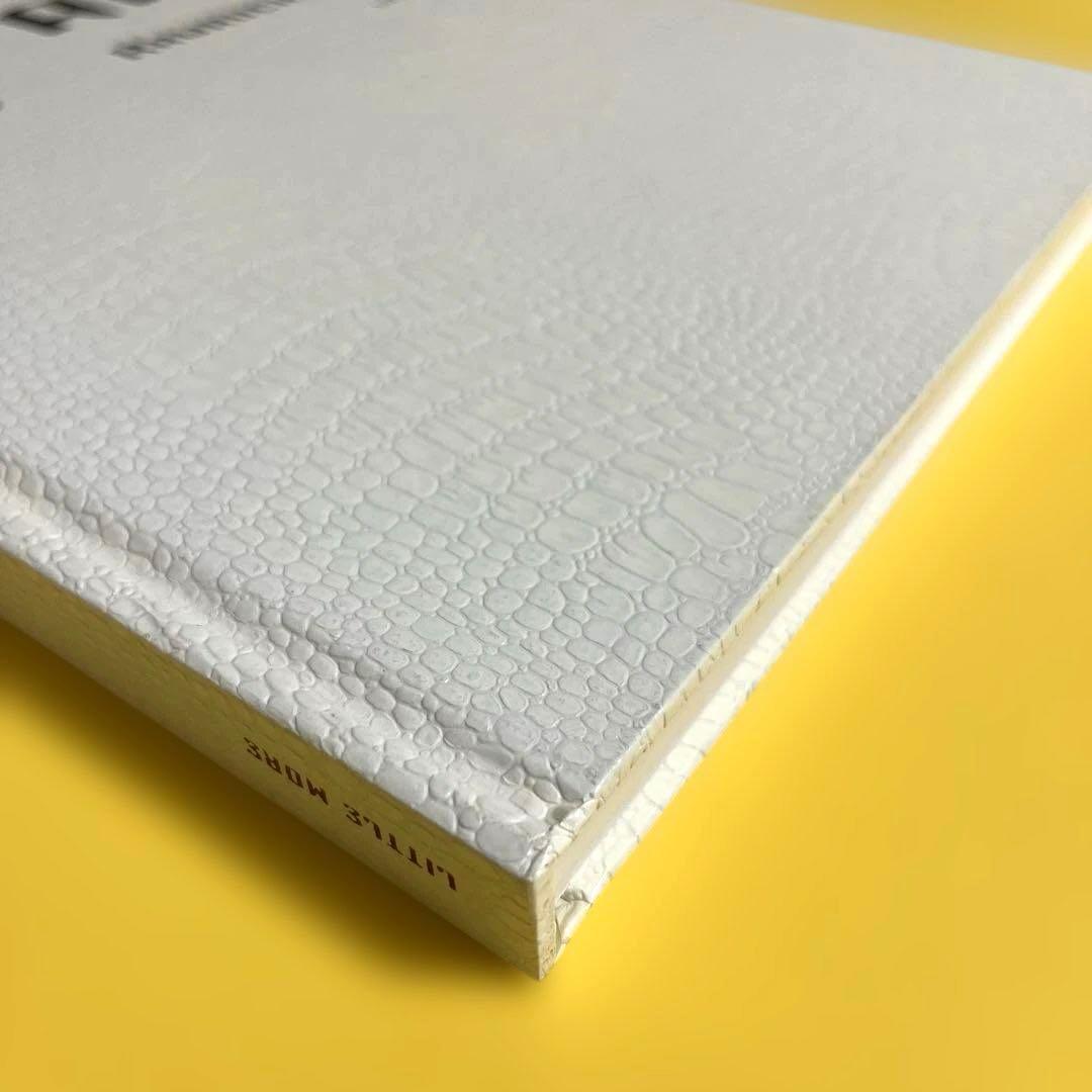 【初版】川内倫子 Rinko Kawauchi 写真集 AILA, アイーラ