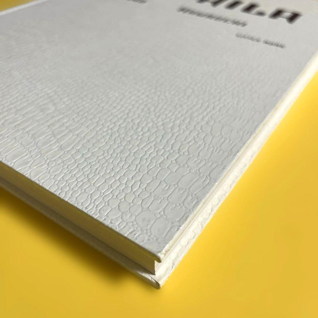 【初版】川内倫子 Rinko Kawauchi 写真集 AILA, アイーラ