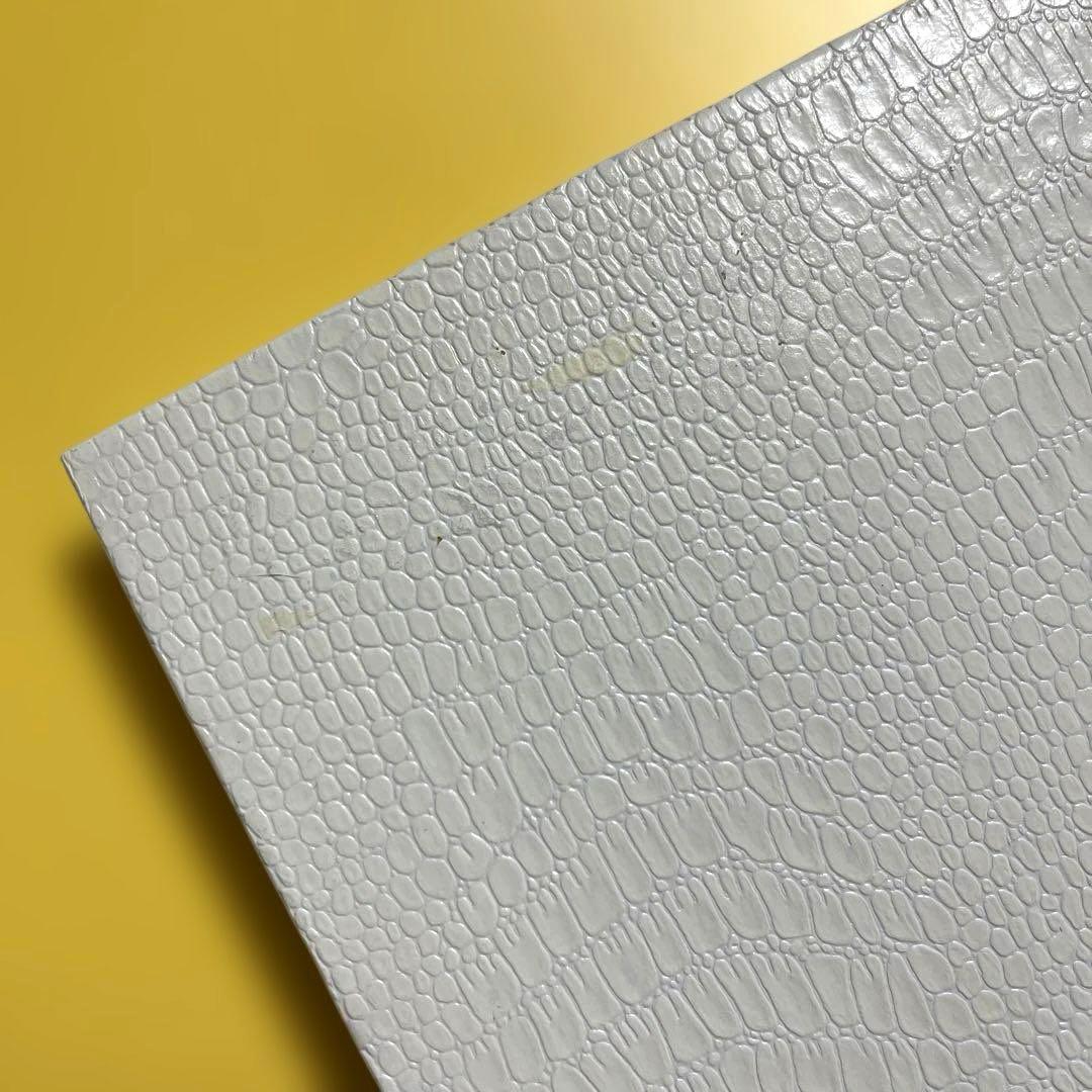 【初版】川内倫子 Rinko Kawauchi 写真集 AILA, アイーラ