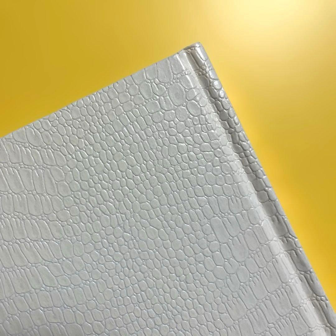 【初版】川内倫子 Rinko Kawauchi 写真集 AILA, アイーラ