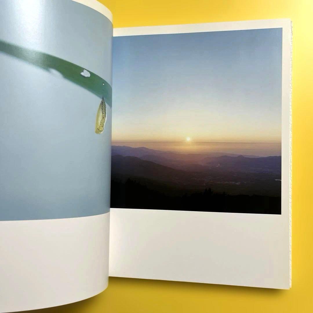 【初版】川内倫子 Rinko Kawauchi 写真集 AILA, アイーラ