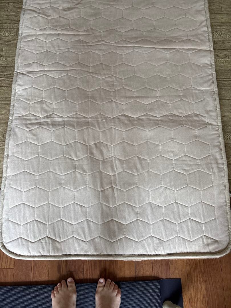  SHEEPTON ベージュ毛布