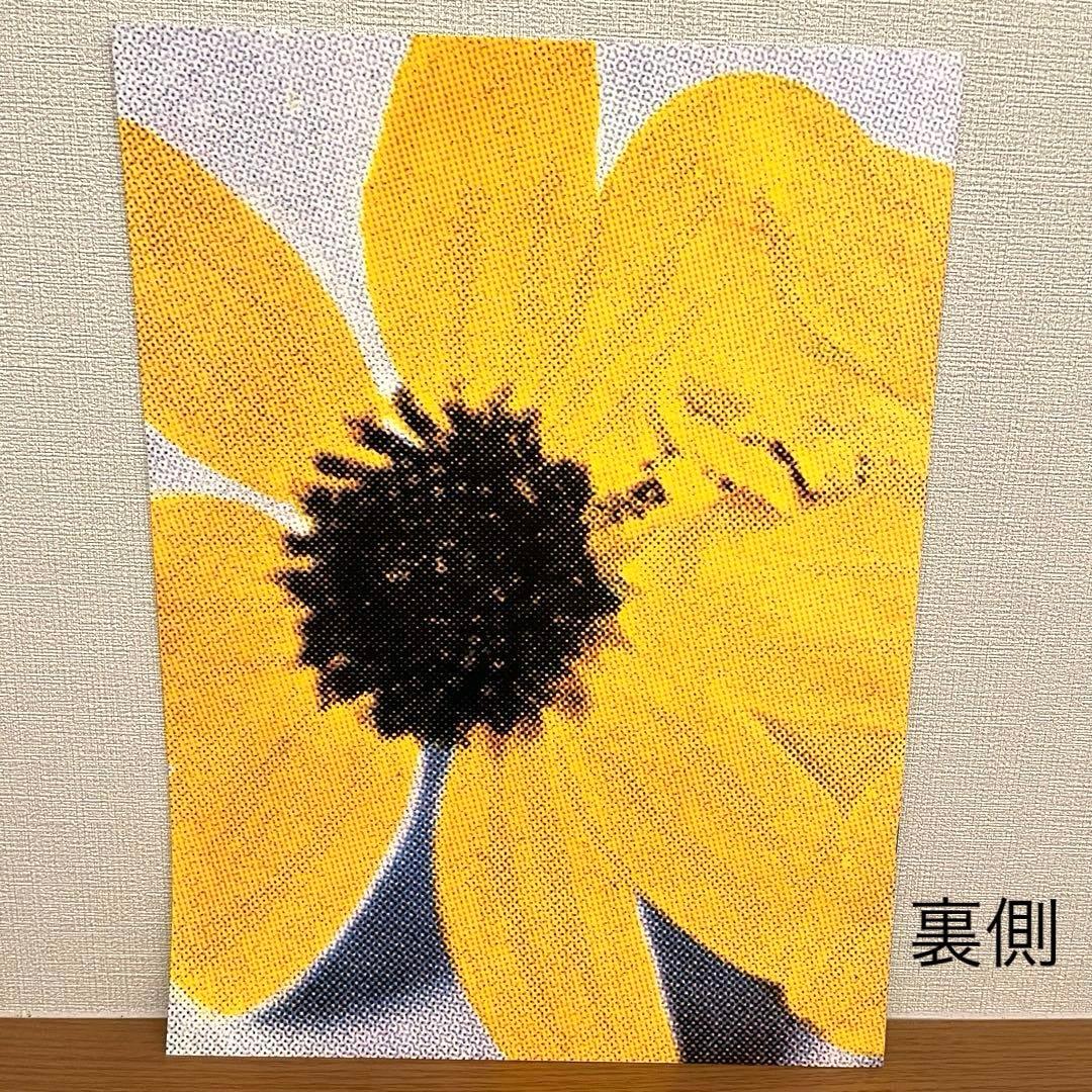 アート・デザイン・音楽 COMME des GARCONS Six / Number5.6 1990