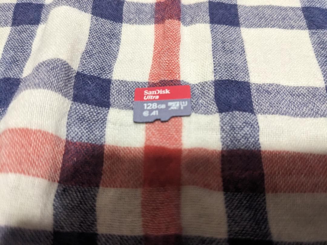 Nintendo Switch Lite グレー 128GBのSDカード付